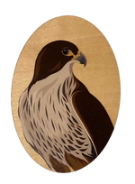 NZ Bird Wooden Magnets - Hansby