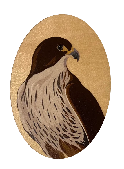 NZ Bird Wooden Magnets - Hansby