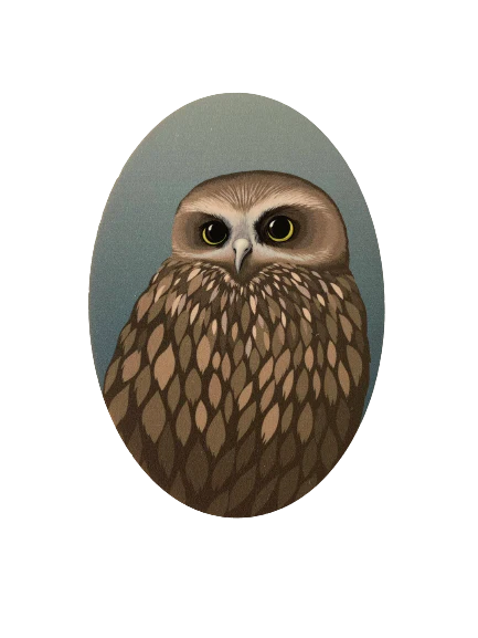 NZ Bird Wooden Magnets - Hansby
