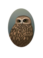 NZ Bird Wooden Magnets - Hansby