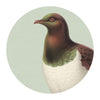 NZ Native Bird Placemats