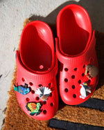 NZ Native Bird Shoe Charms