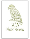 NZ Tea Towels (various designs)