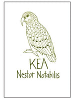 NZ Tea Towels (various designs)