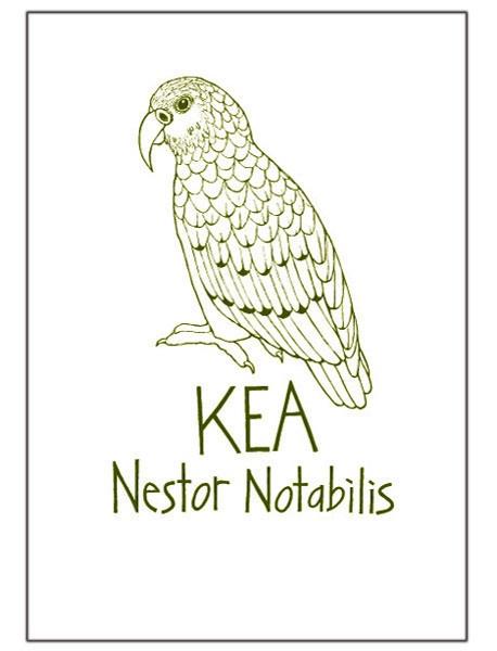 NZ Tea Towels (various designs)