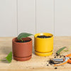 Oslo Planter - mini (all colours)