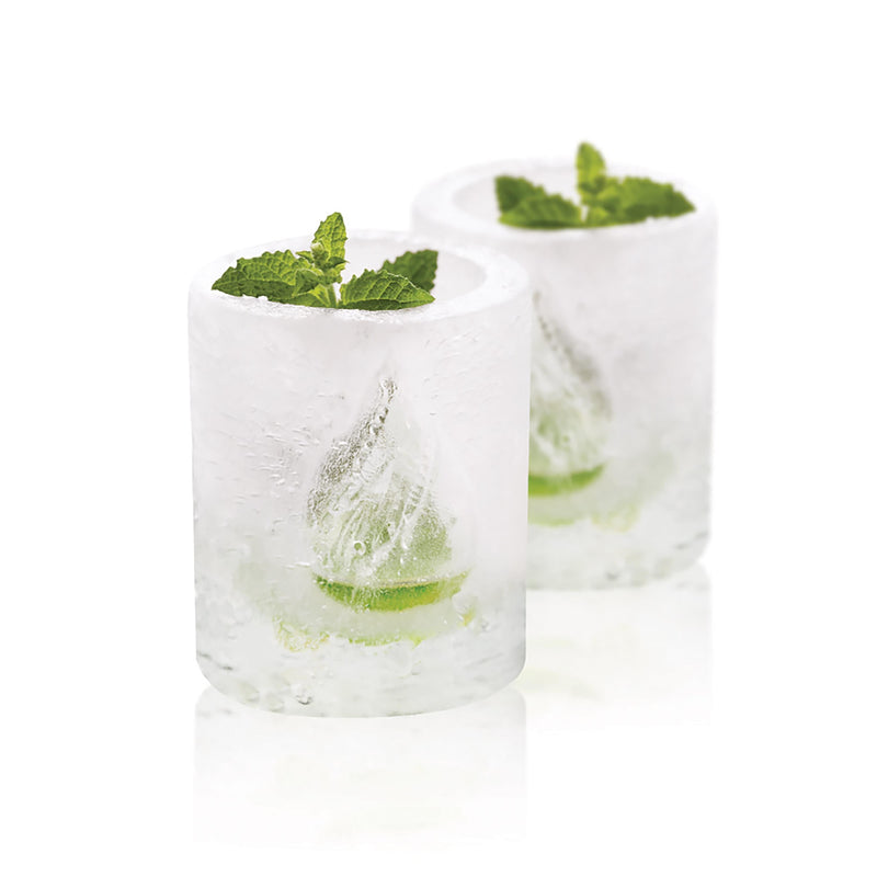 Quadruple Shot Ice Mould