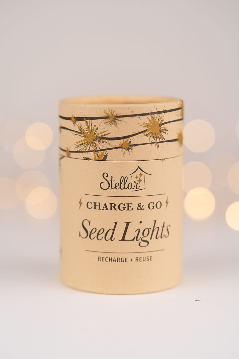 Rechargeable Seed Lights - USB