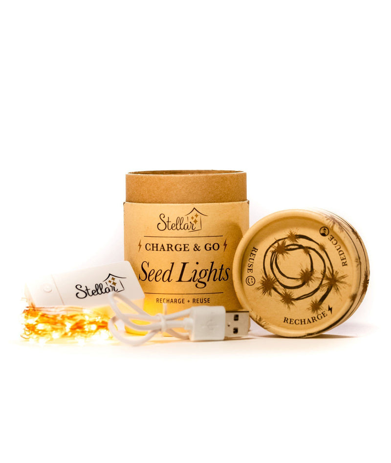 Rechargeable Seed Lights - USB