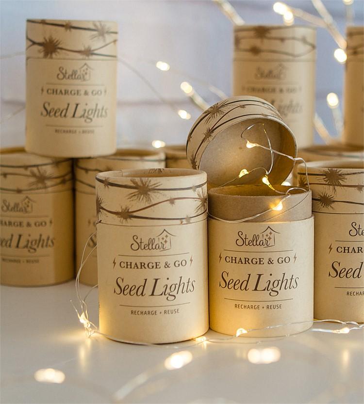 Rechargeable Seed Lights - USB