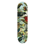 Skateboard Deck - Birds of NZ