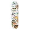 Skateboard Deck - Fishes of NZ