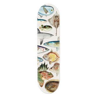 Skateboard Deck - Fishes of NZ