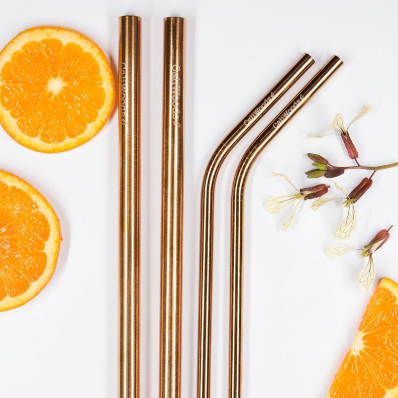 Stainless Steel Reusable Straws