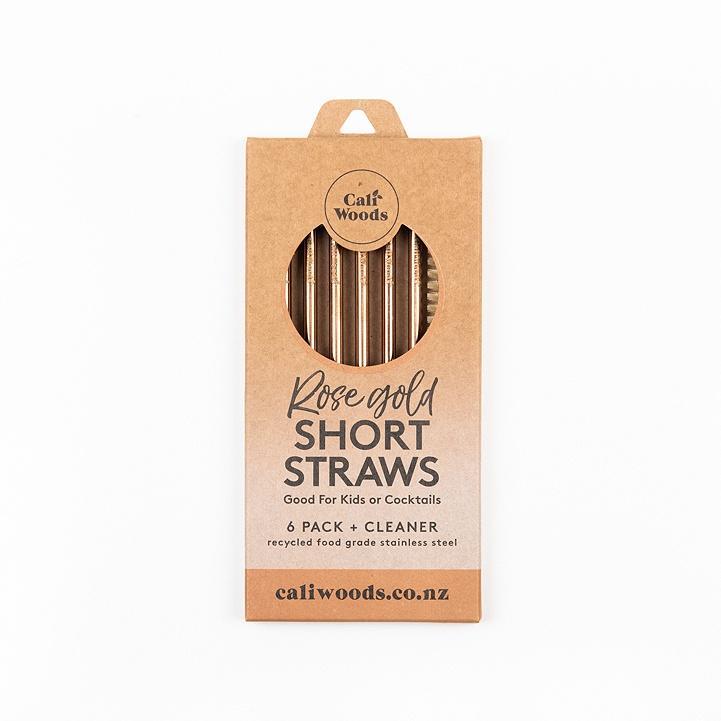 Stainless Steel Reusable Straws - Short