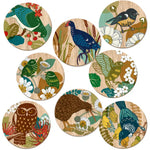 Tanya Wolfkamp Coasters - NZ Birds