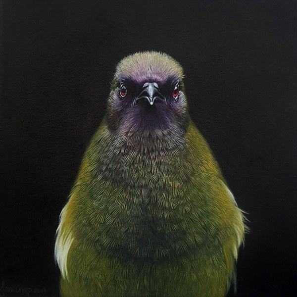 The Bellbird's Declaration - Jane Crisp
