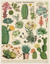 Vintage Cacti & Succulents Puzzle